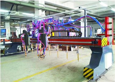 CNC5-5000X14000 Portal Tipi Çok Kafalı Şeritli Alev ve Plazma Kesme Makinası 9 + 1 + 1